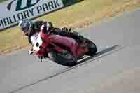 Red Bikes